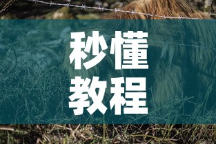 秒懂教程“微信牛牛群斗牛群”获取房卡教程-哔哩哔哩