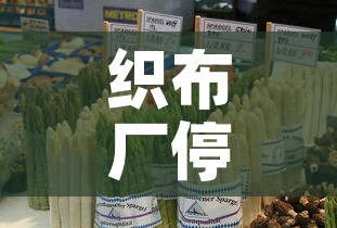 织布厂停车位租金价格 → 制衣厂车位包吃住 织布厂停车位租金价格 → 制衣厂车位包吃住