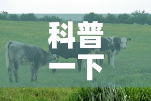 科普一下“微信牛牛群房卡怎么弄”房卡怎么购买