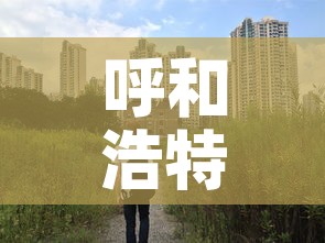 呼和浩特增11例本土—(呼和浩特新增疫情) 呼和浩特增11例本土—(呼和浩特新增疫情)