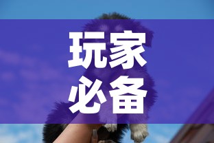 玩家必备教程“斗牛房卡牛牛房卡”购买房卡介绍