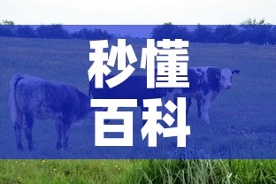 秒懂百科“微信牛牛群房卡”购买房卡介绍