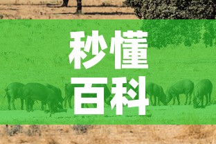 秒懂百科“微信房卡斗牛牛有挂吗”详细房卡教程