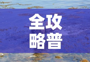 全攻略普及“斗牛房卡牛牛房卡”详细房卡教程