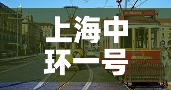 上海中环一号疫情 → 上海中环1号