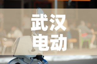 武汉电动车：武汉电动车牌照查询