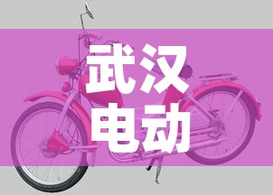 武汉电动车：武汉电动车牌照查询