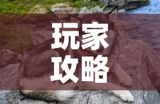 玩家攻略“购买斗牛房卡联系方式”房卡获取方式