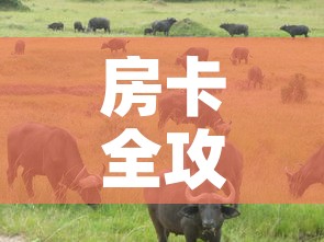 房卡全攻略“微信牛牛群斗牛群”详细房卡教程