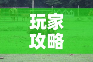 玩家攻略“微信牛牛群斗牛群”房卡获取方式