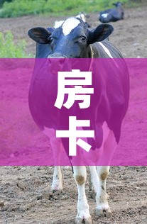 房卡必备教程“微信牛牛群斗牛群”房卡获取方式